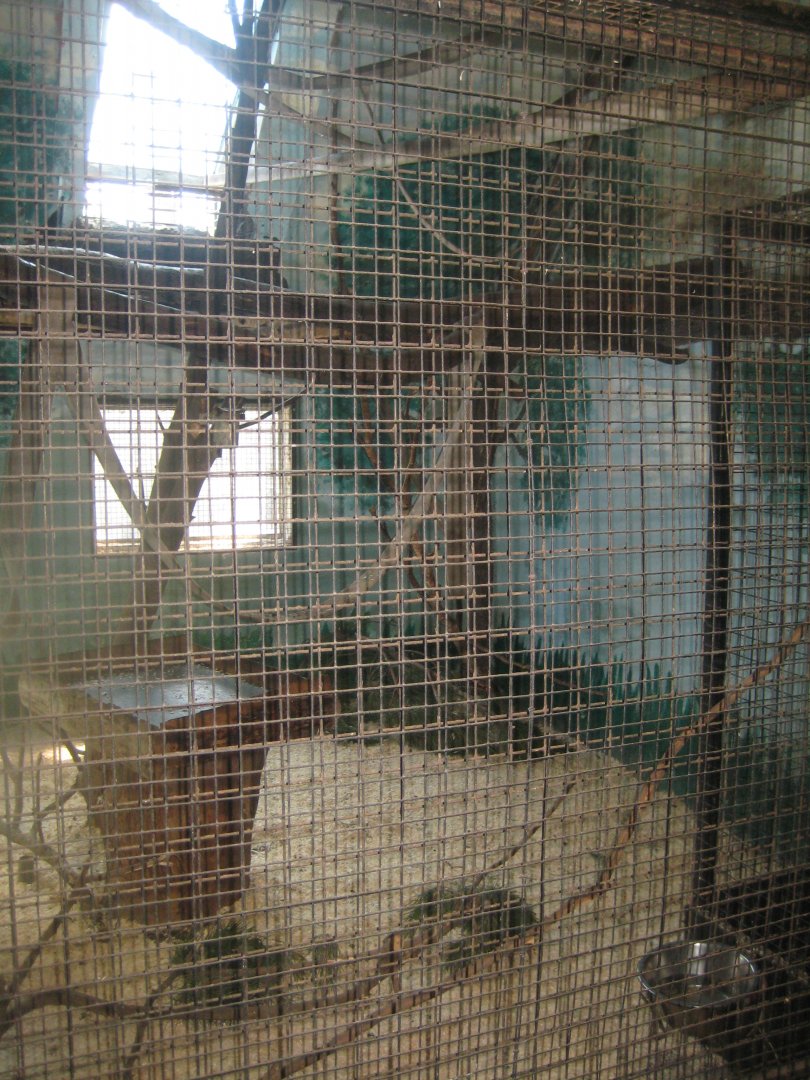 Munkholm Zoo - Stable building - Capuchin monkey exhibit