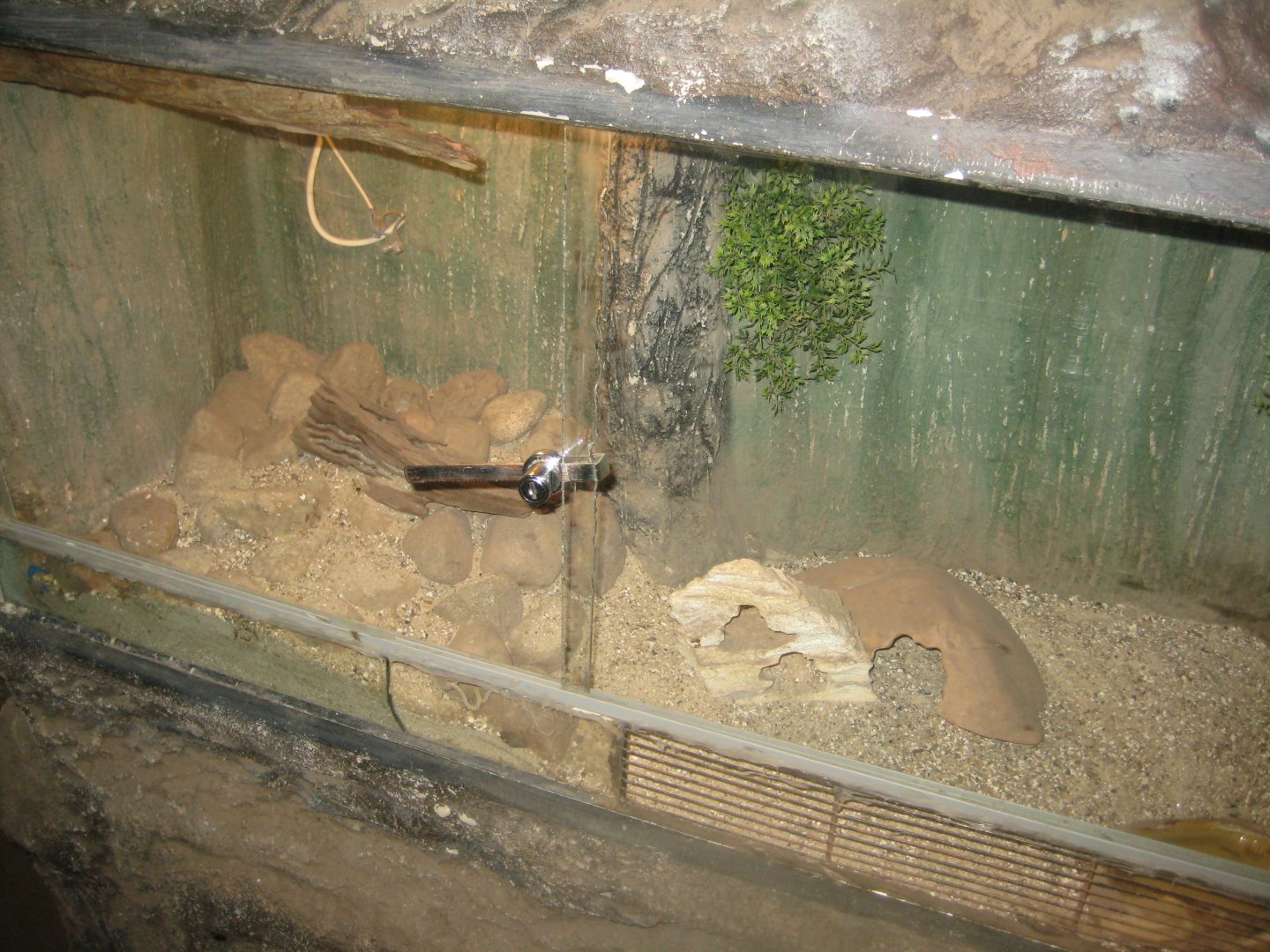 Munkholm Zoo - Stable building - Gecko exhibit