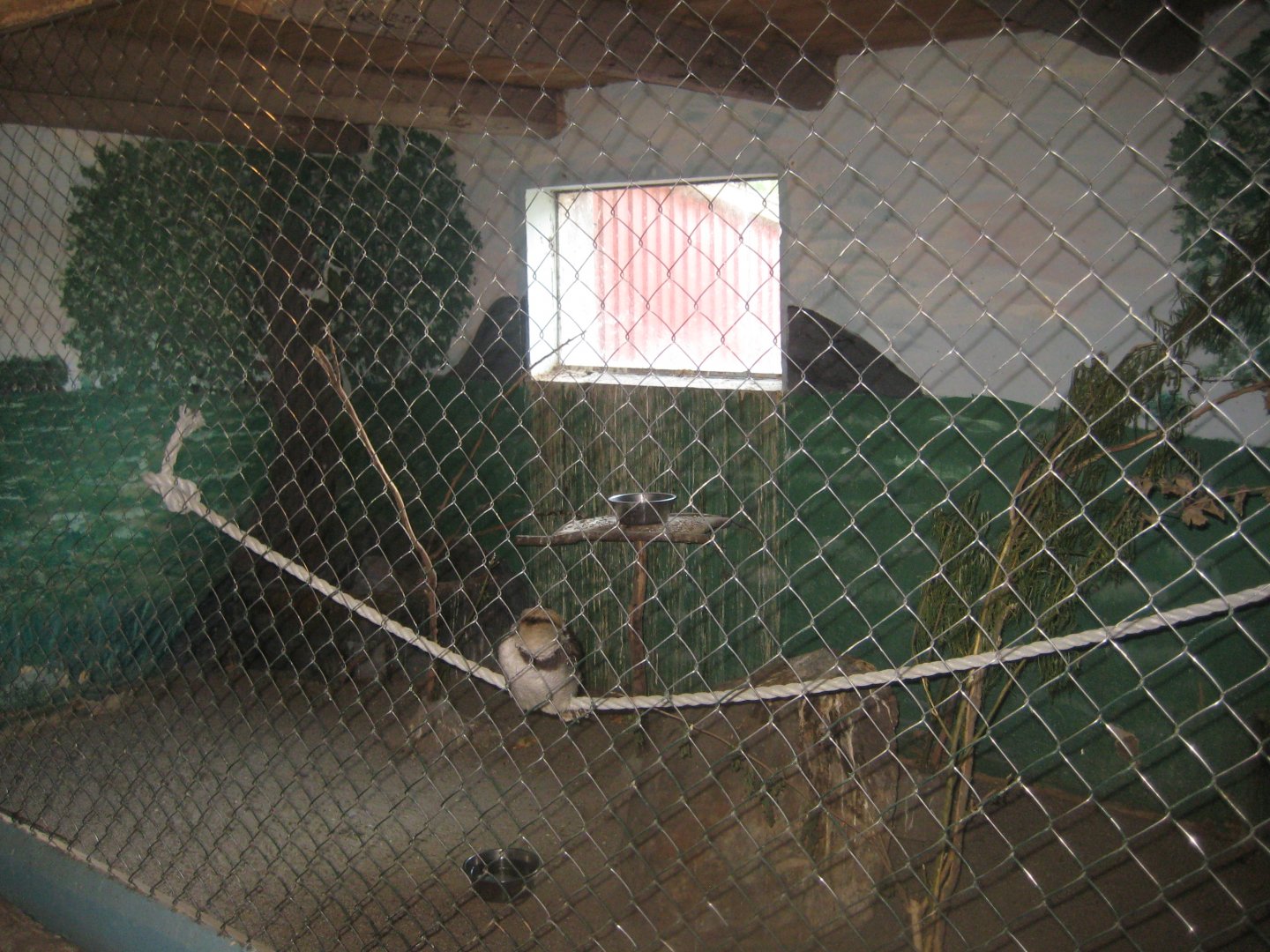 Munkholm Zoo - Stable building - Kookaburra exhibit