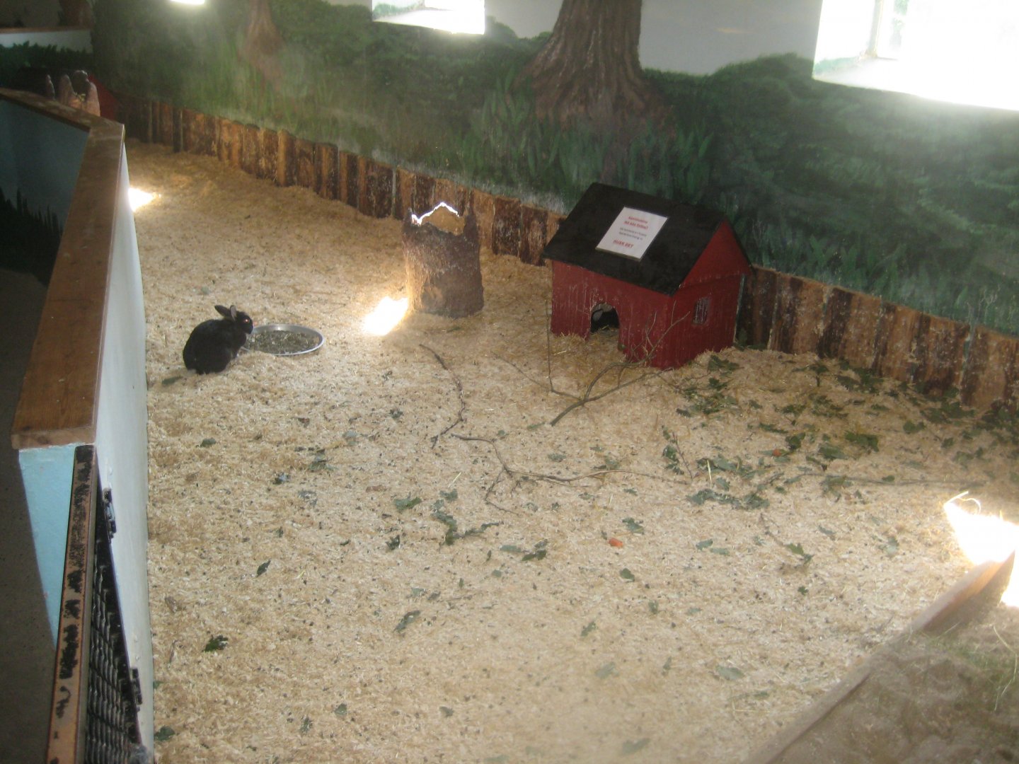 Munkholm Zoo - Stable building - Rabbit exhibit