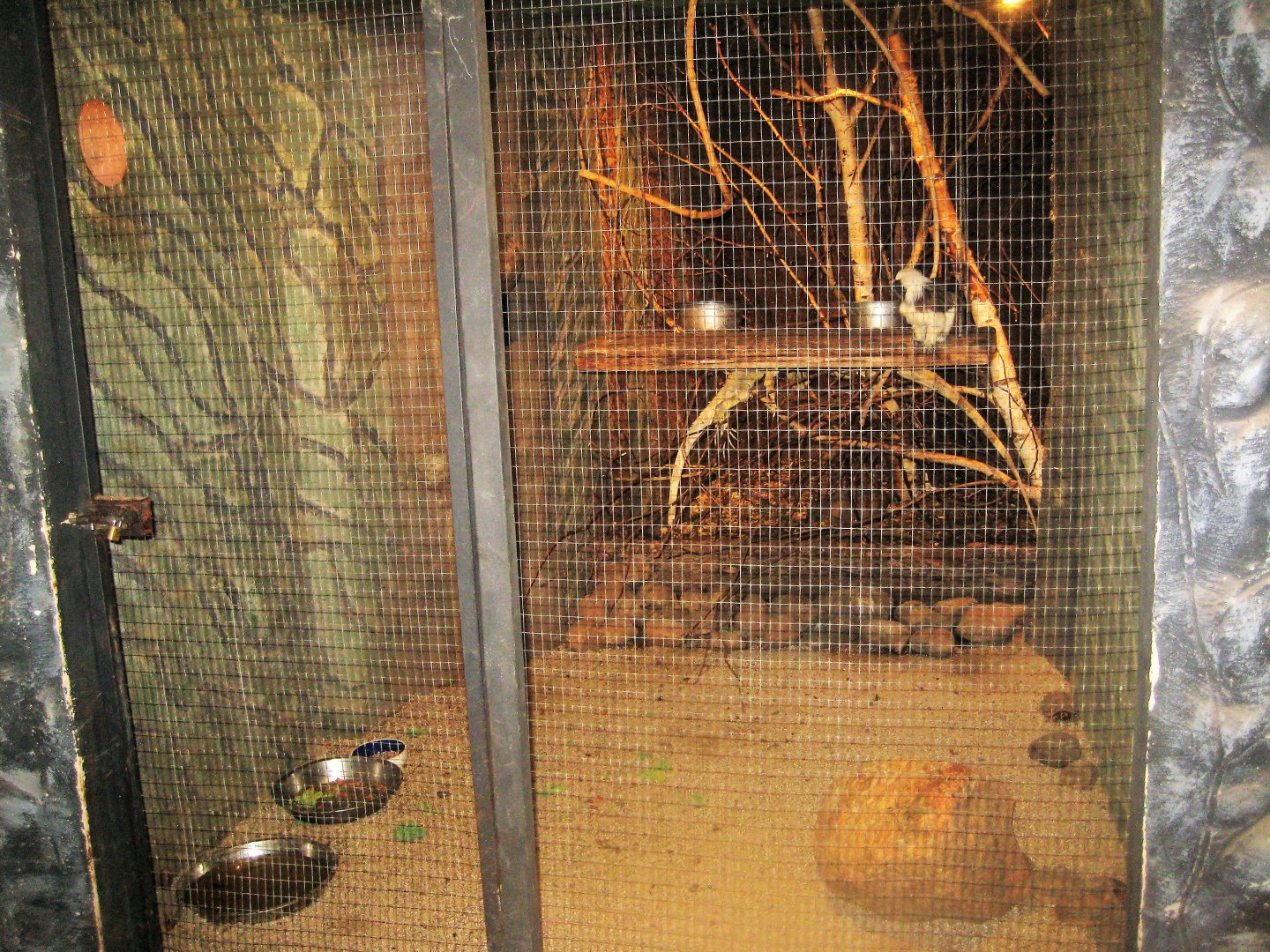 Munkholm Zoo - Stable building - Tamarin/reptile exhibit