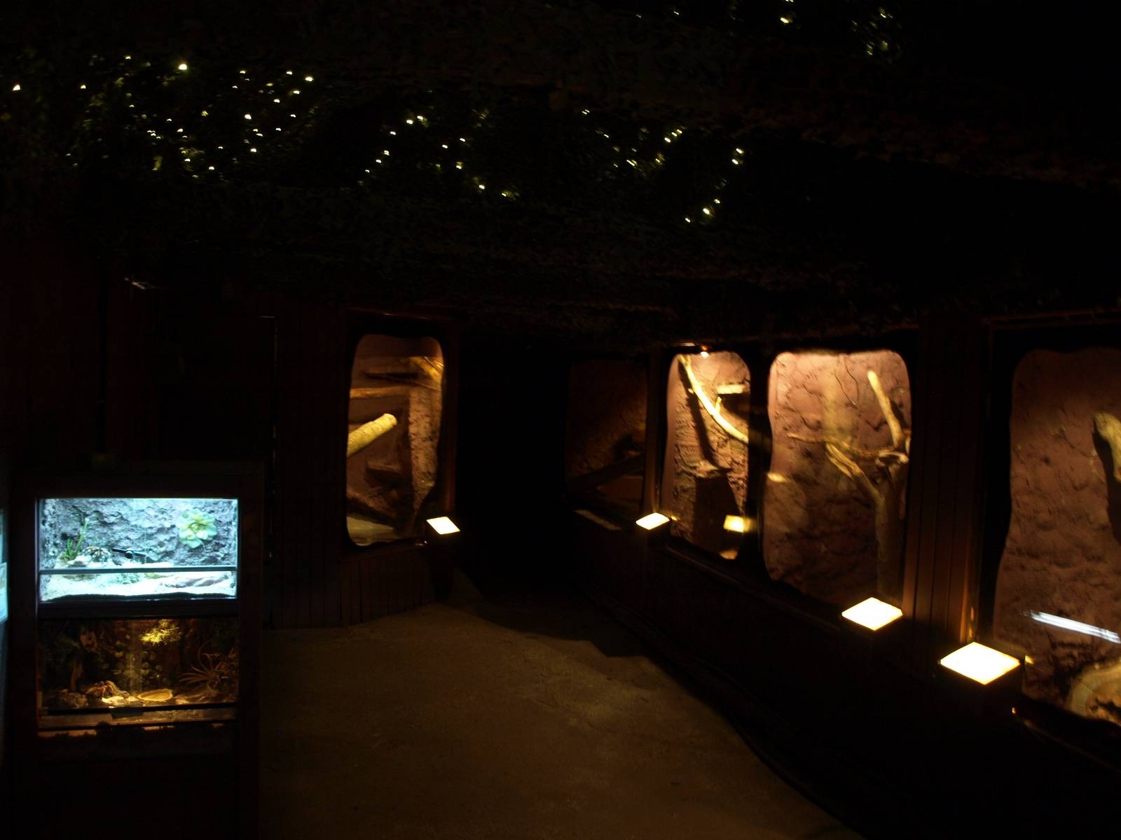 Munkholm Zoo -Terrarium