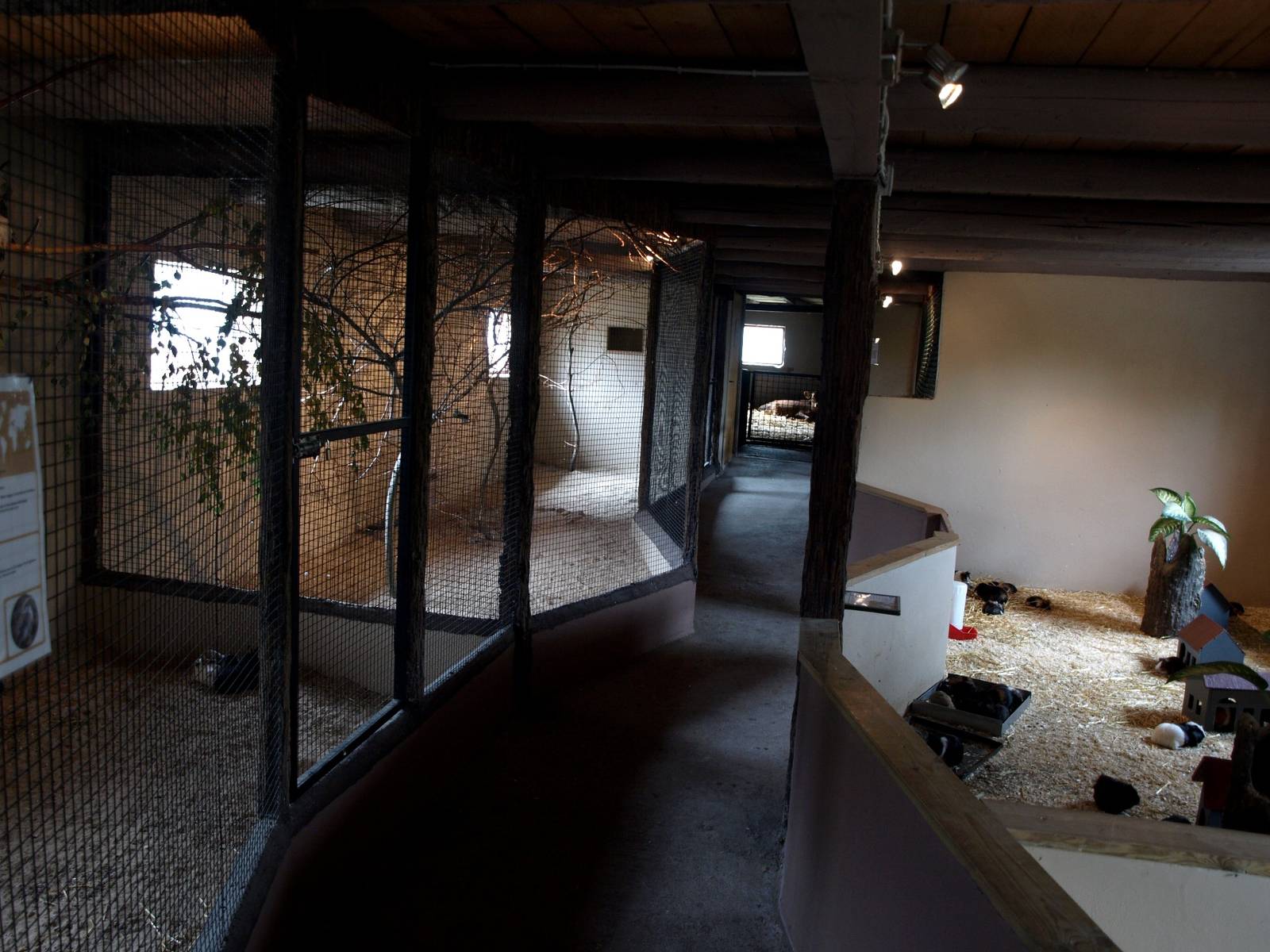 Munkholm Zoo - The farm