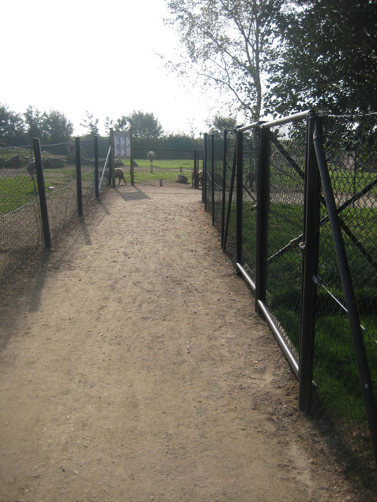 Munkholm Zoo - view of the path