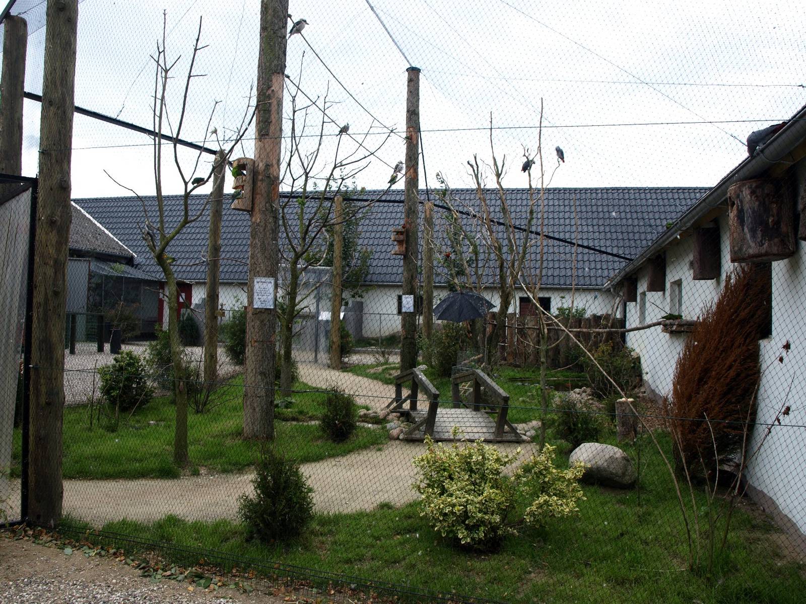 Munkholm Zoo - Walkthrough aviary