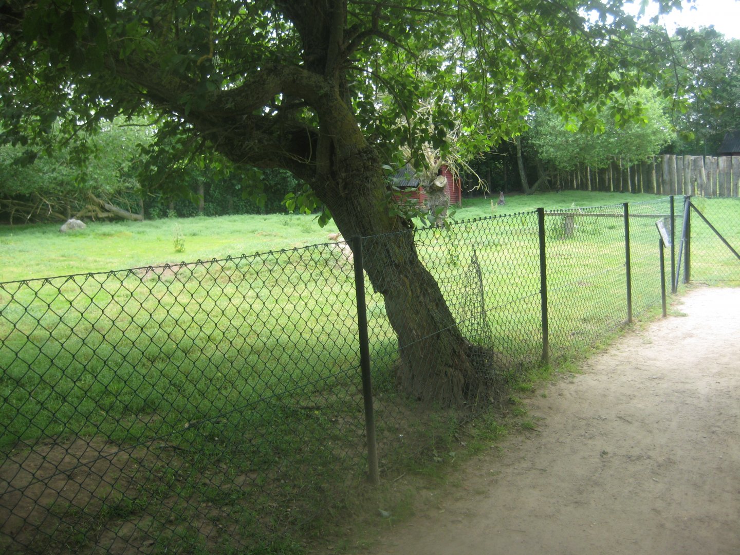 Munkholm Zoo - Wallaby exhibit