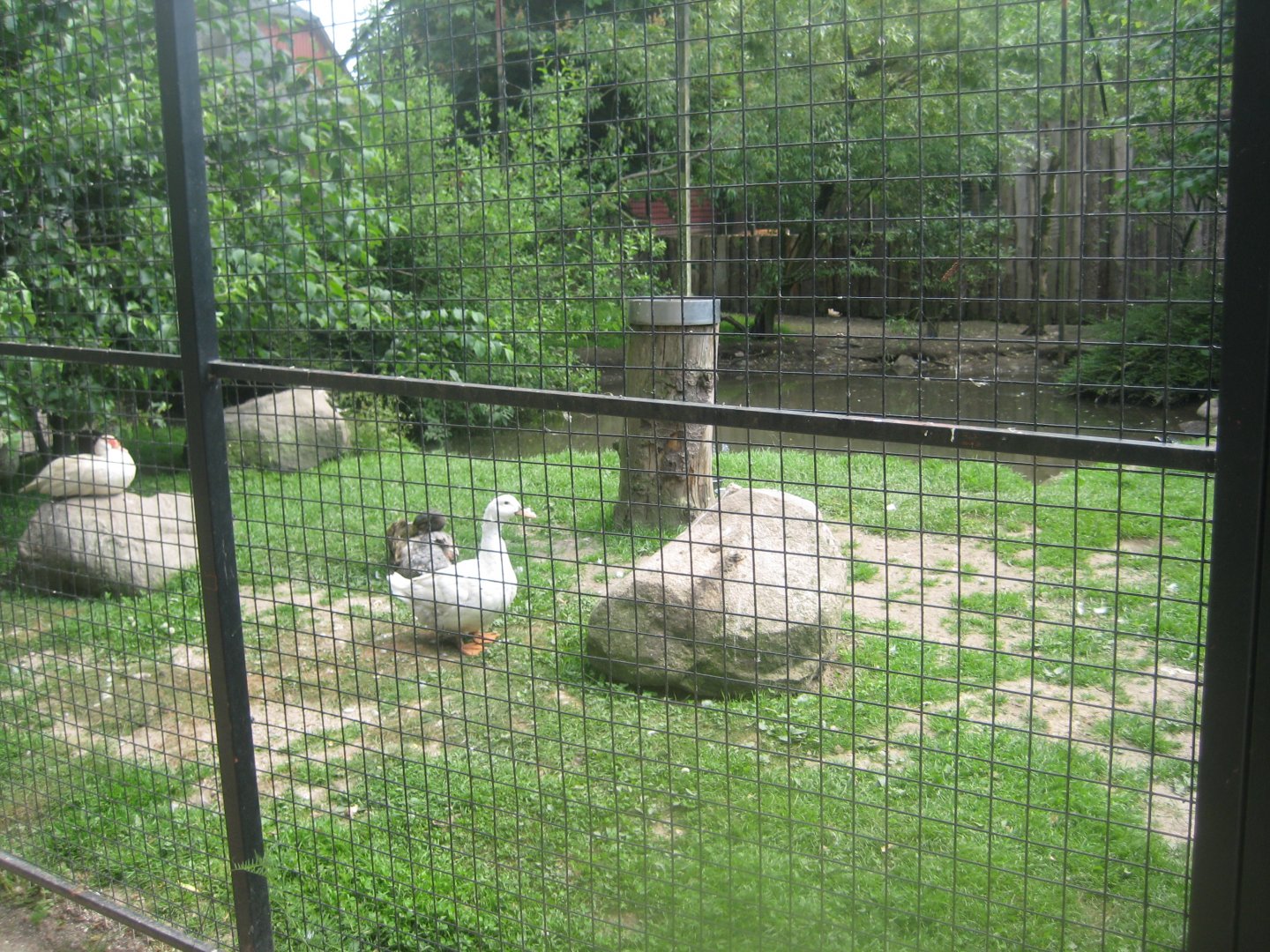 Munkholm Zoo - Wetlands aviary
