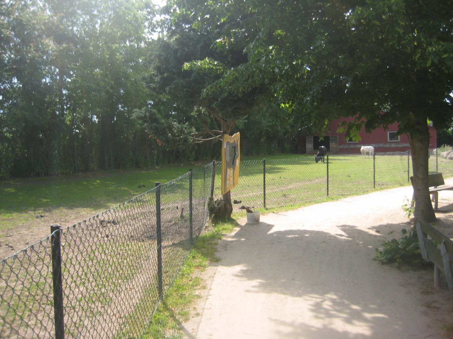 Munkholm Zoo - Zebu exhibit