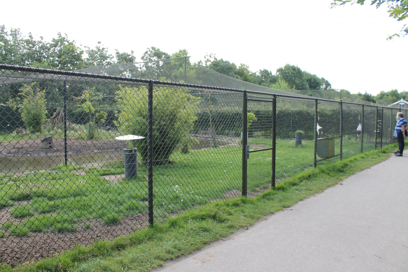 Muntjac- and Crane Enclosure