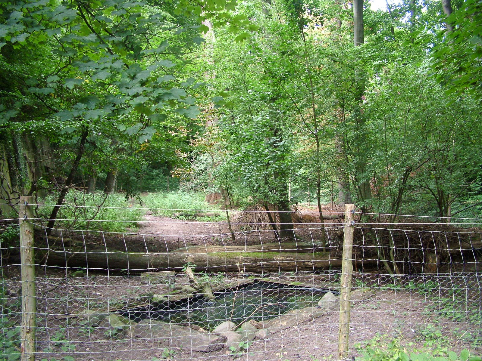Muntjac and Crane Exhibit at Landau Zoo, 04/09/10