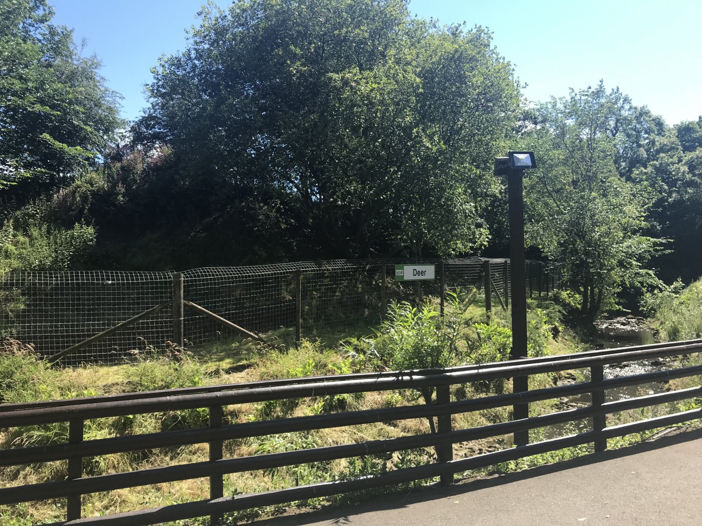 Muntjac deer enclosure (2)