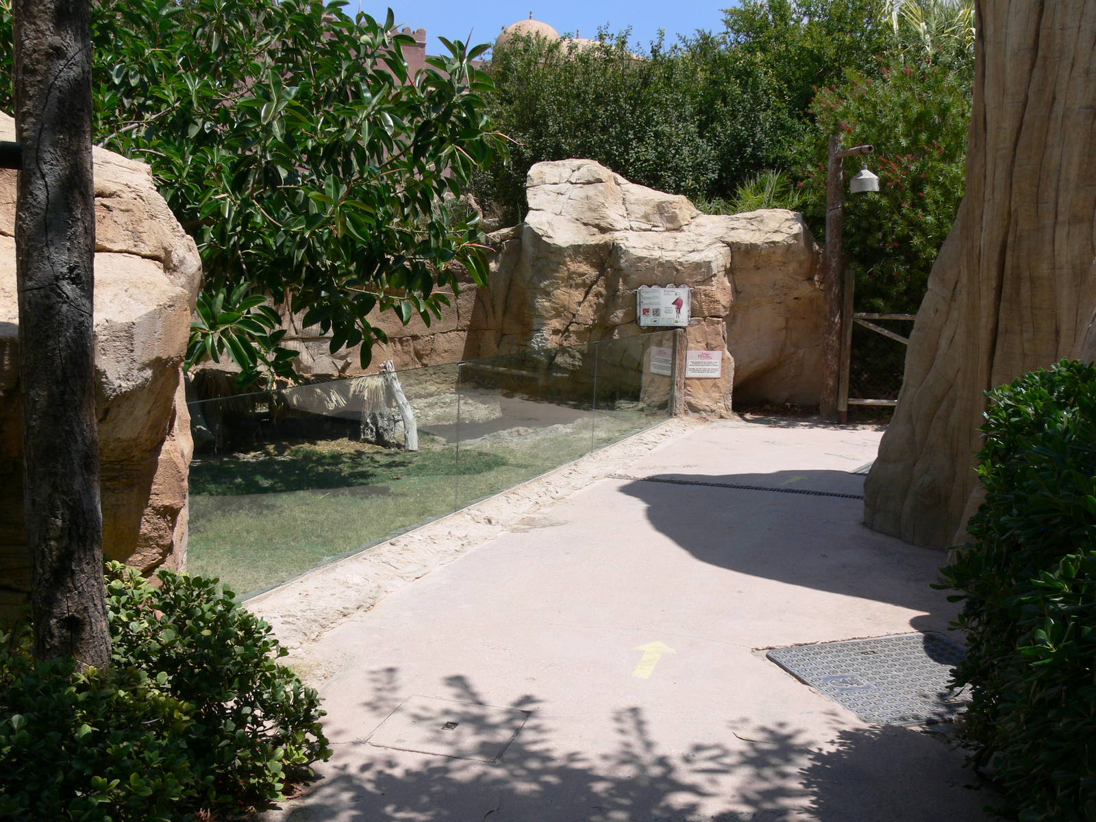 Muntjac enclosure at Terra Natura, 03/08/14
