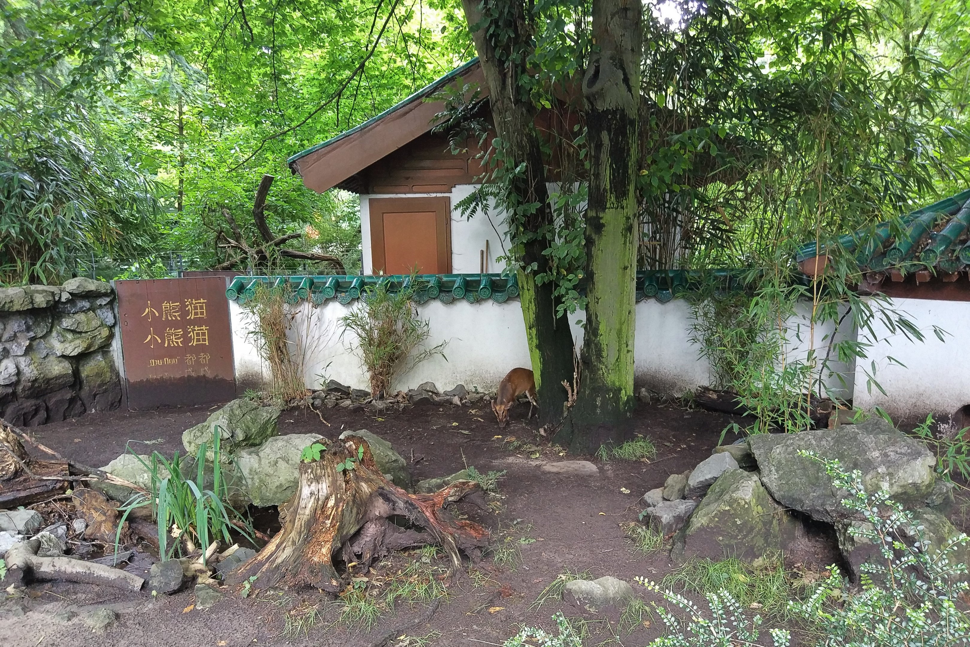 Muntjac Enclosure, Chinese Garden