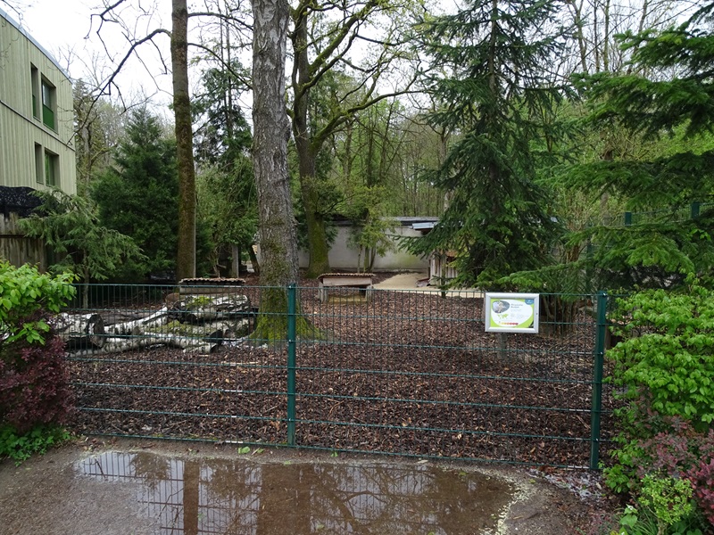 Muntjac enclosure