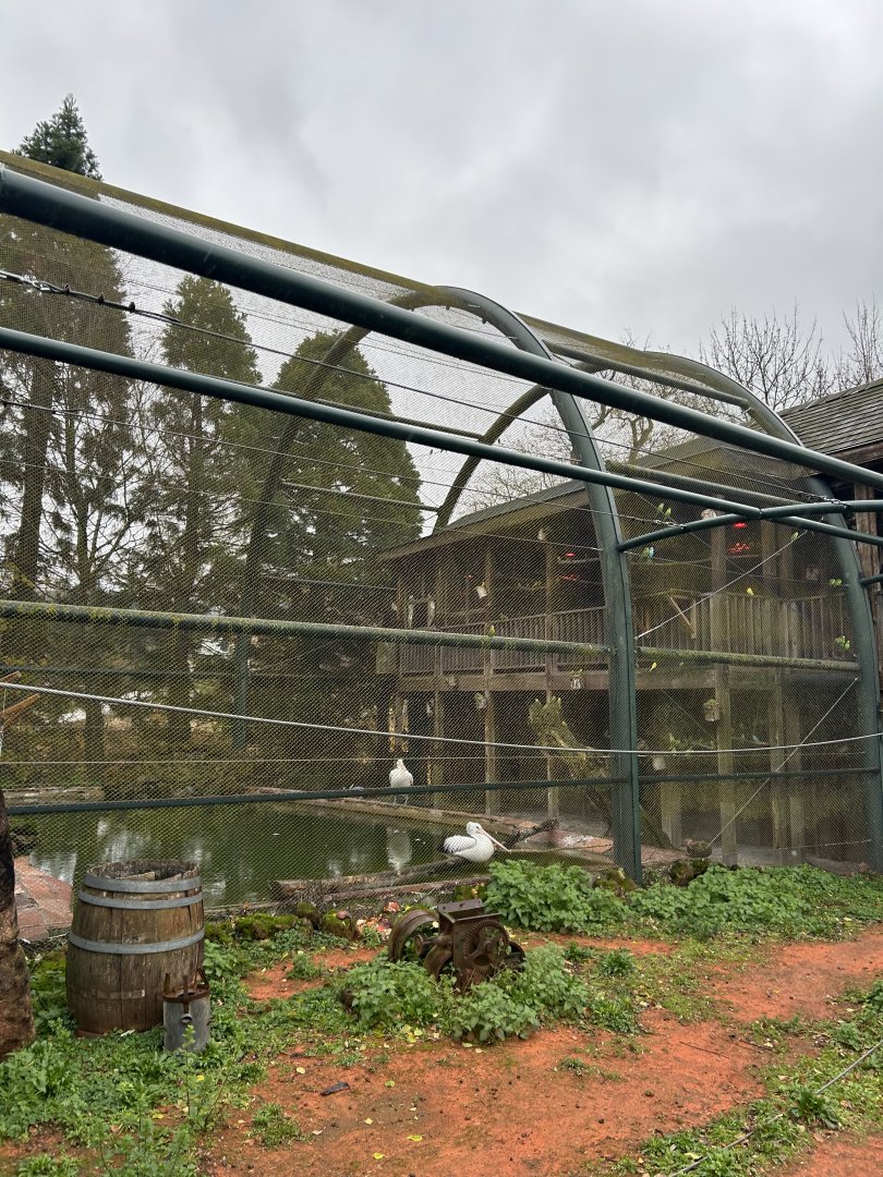 Mura Mura aviary seen from the kangaroo walkthrough