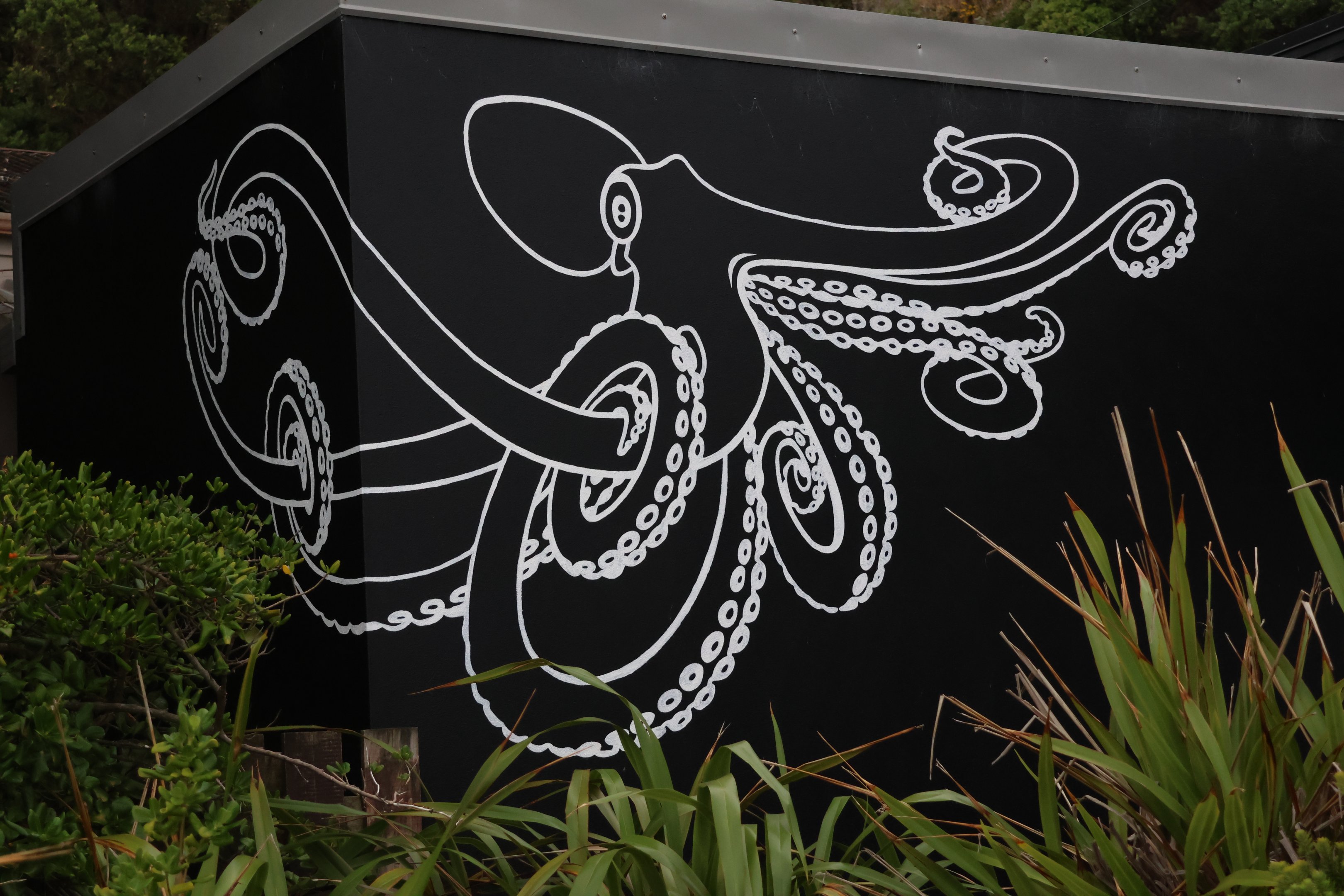 Mural of Octopus, open day at VUW Coastal Ecology Laboratory (Island Bay, Wellington)