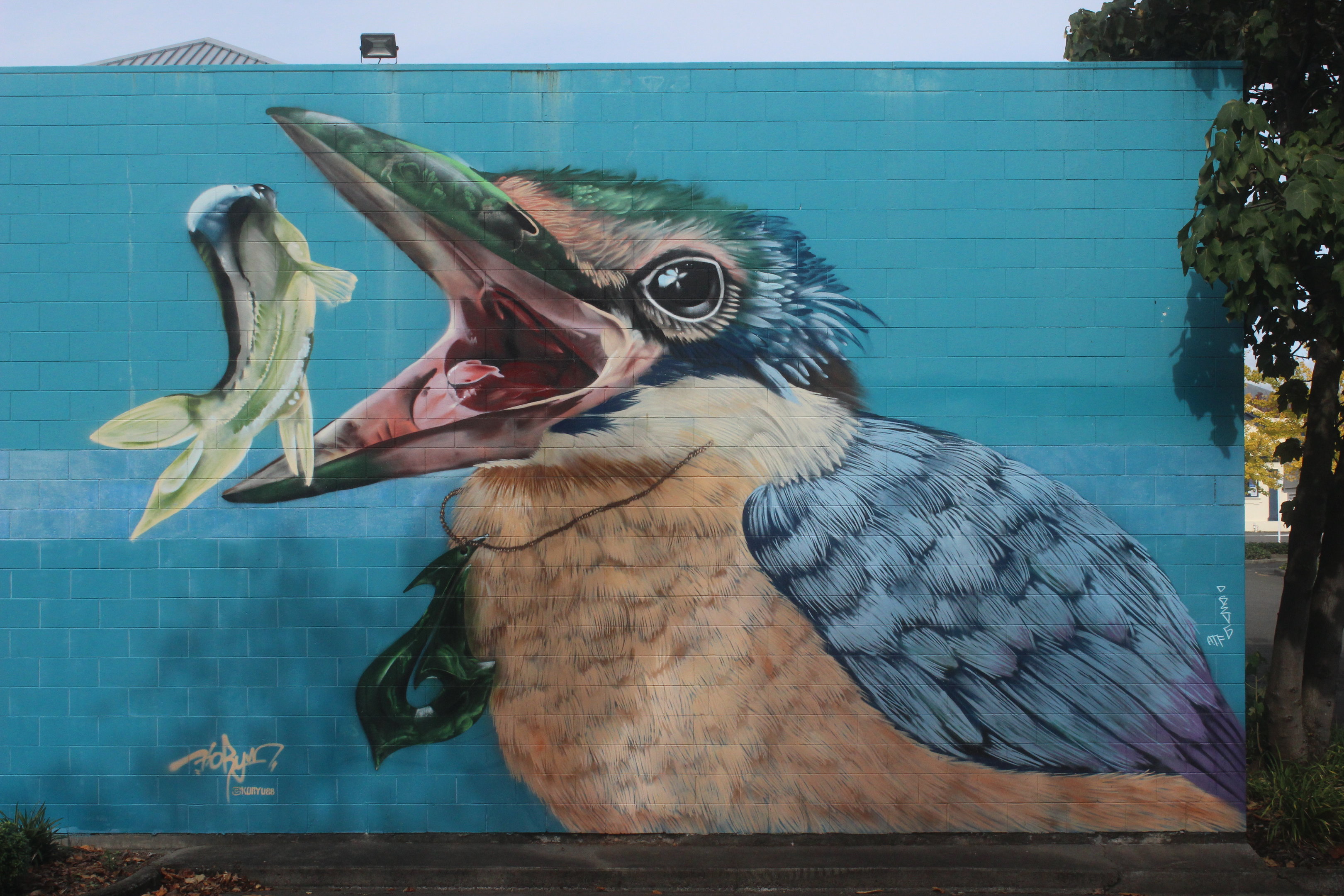 Mural of Sacred Kingfisher, Main Street, Palmerston North