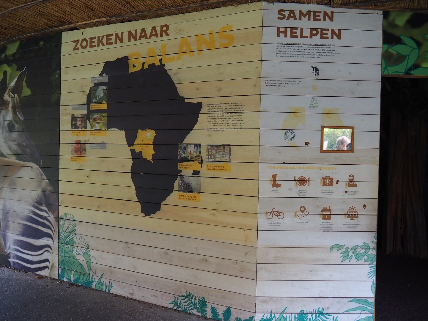 Mural on okapi conservation (Nov 10th, 2018)