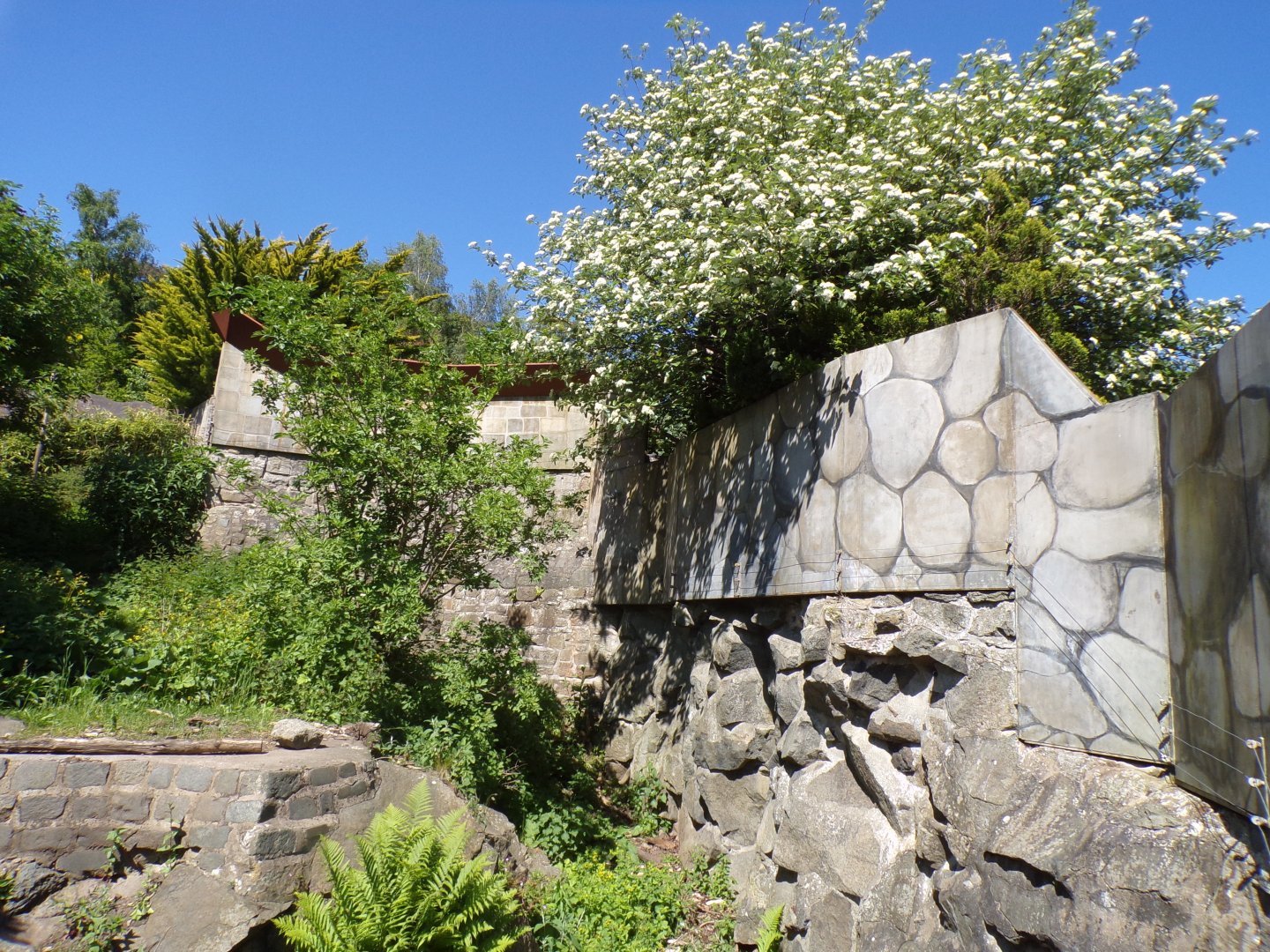 Mural on sun bear wall 20.5.24