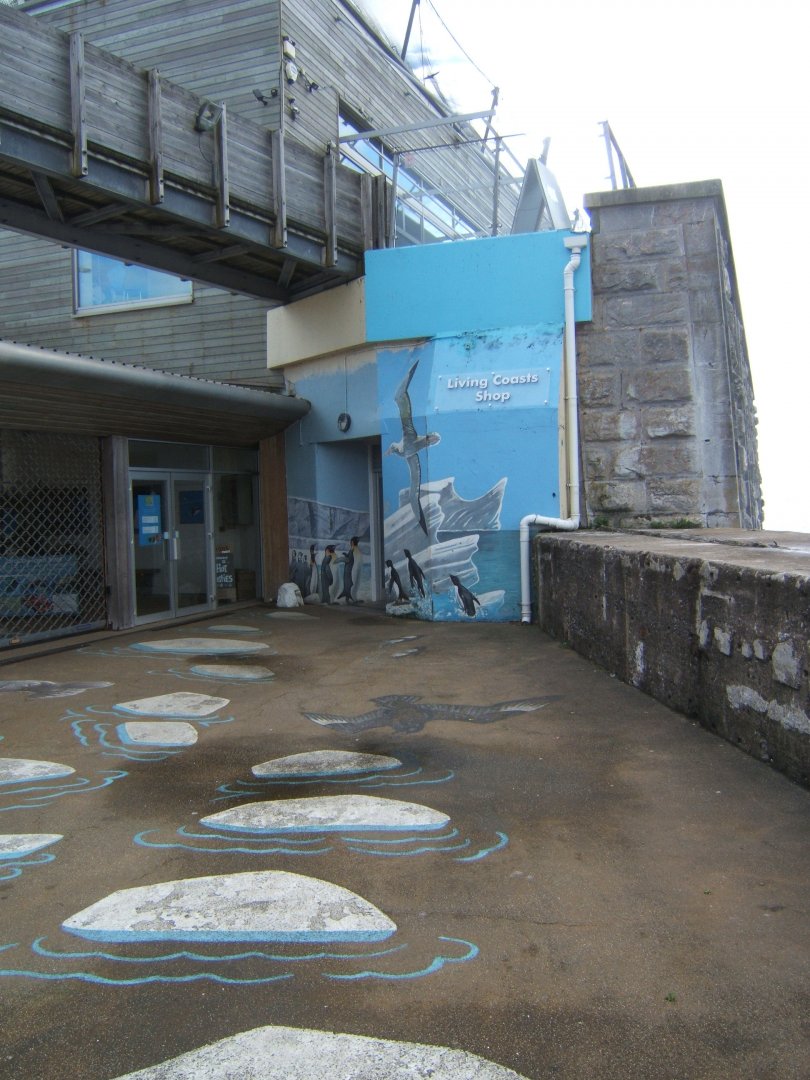 Mural on the exit wall of the shop 30/07/2017