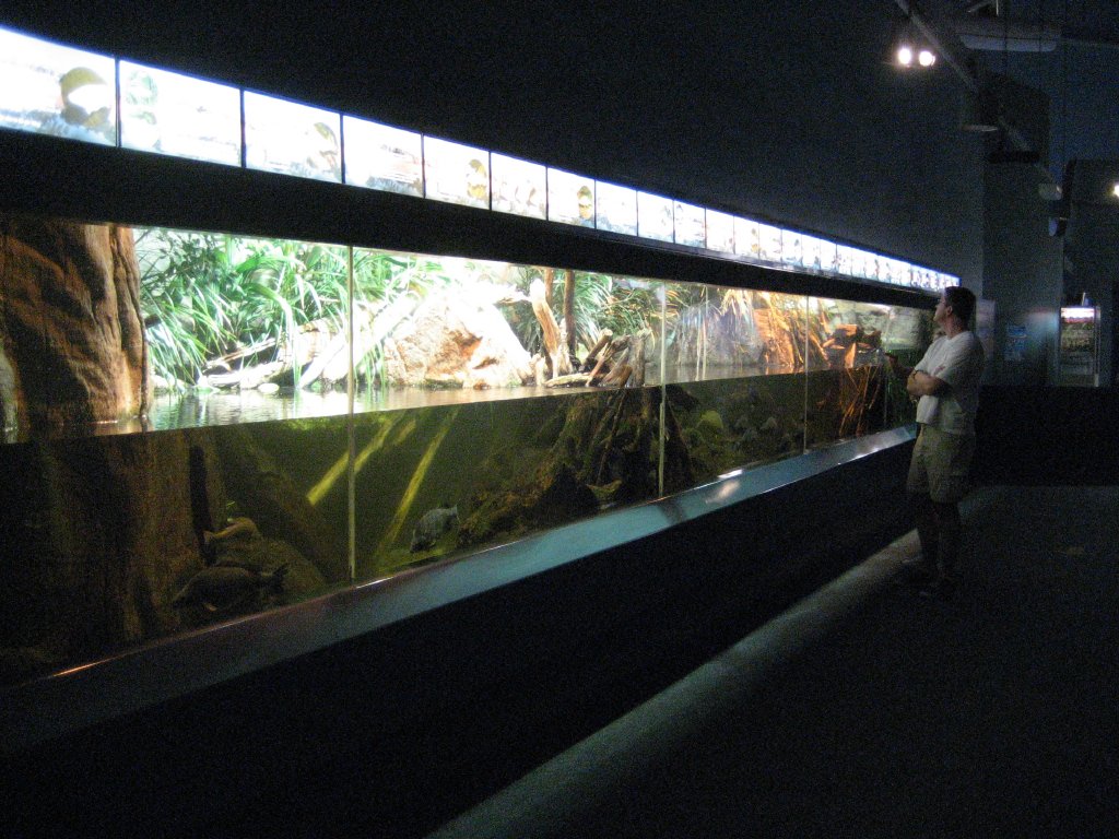 Murray-Darling River tank