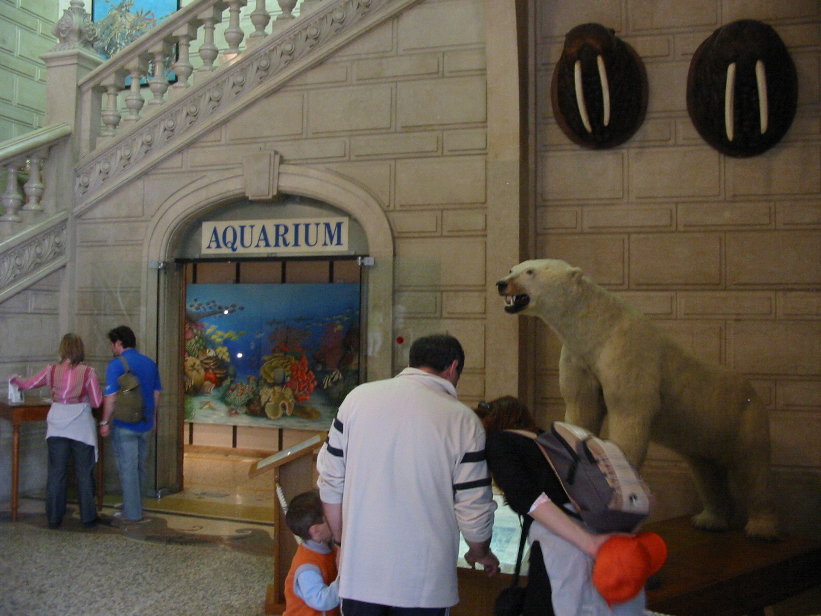 Musee Oceanographique 2005 - Inside the aquarium