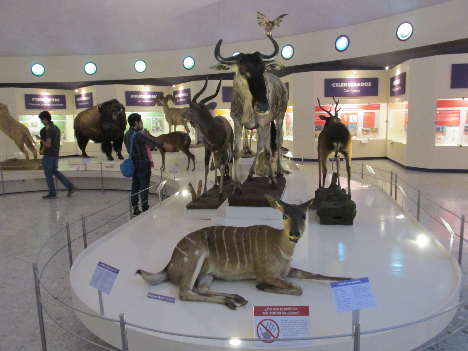 museo de historia natural mexico city