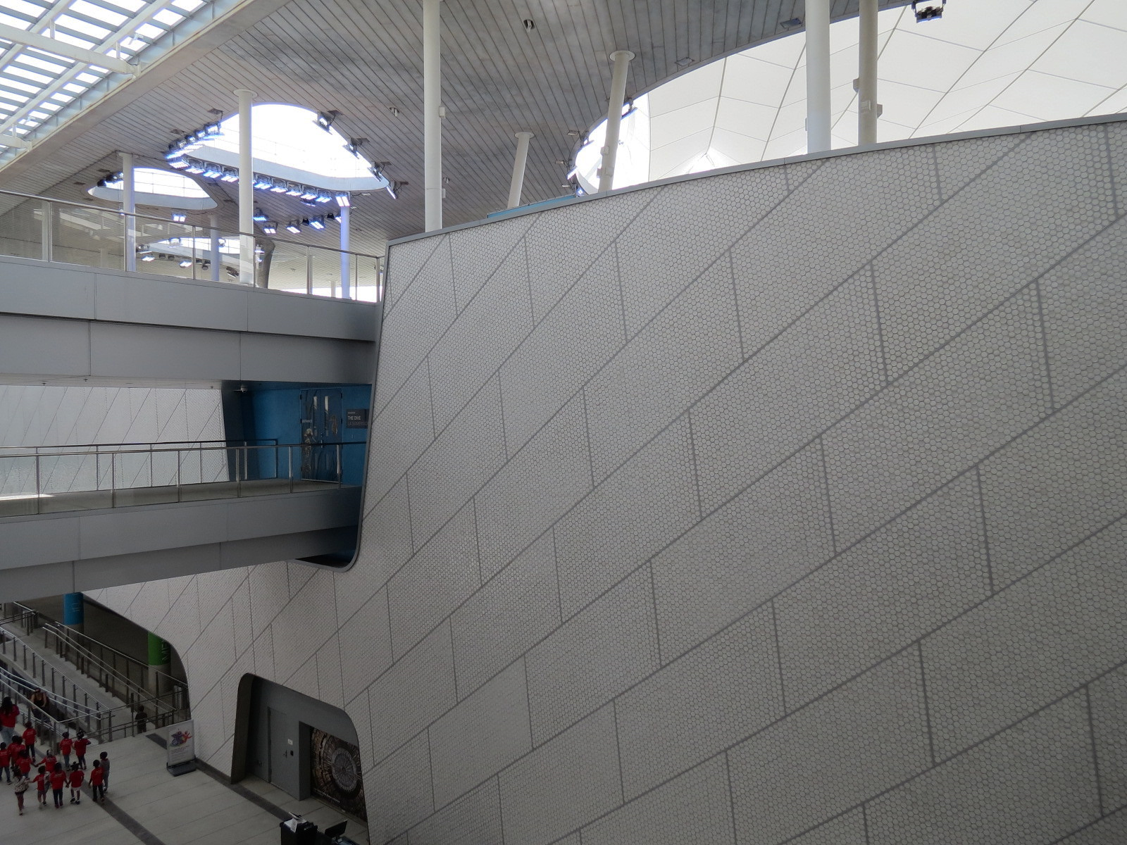 Museum Atrium - Aquarium