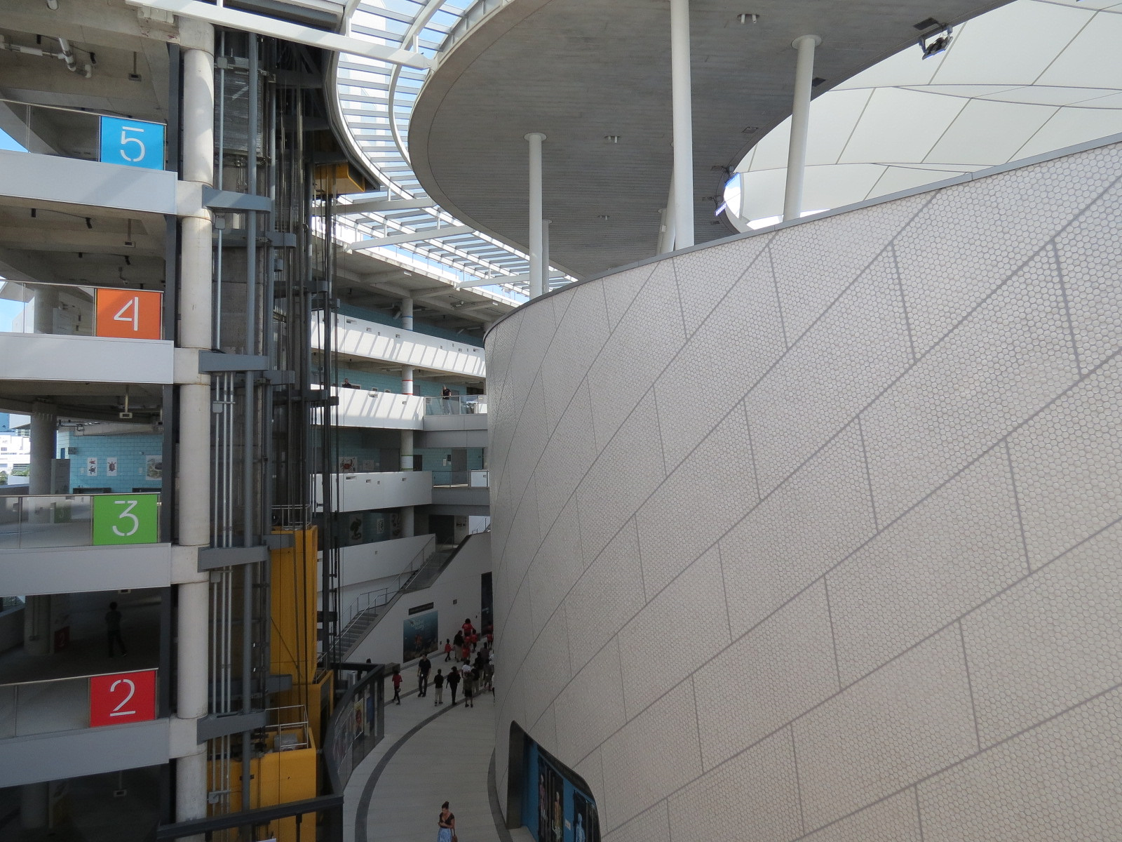 Museum Atrium - Aquarium