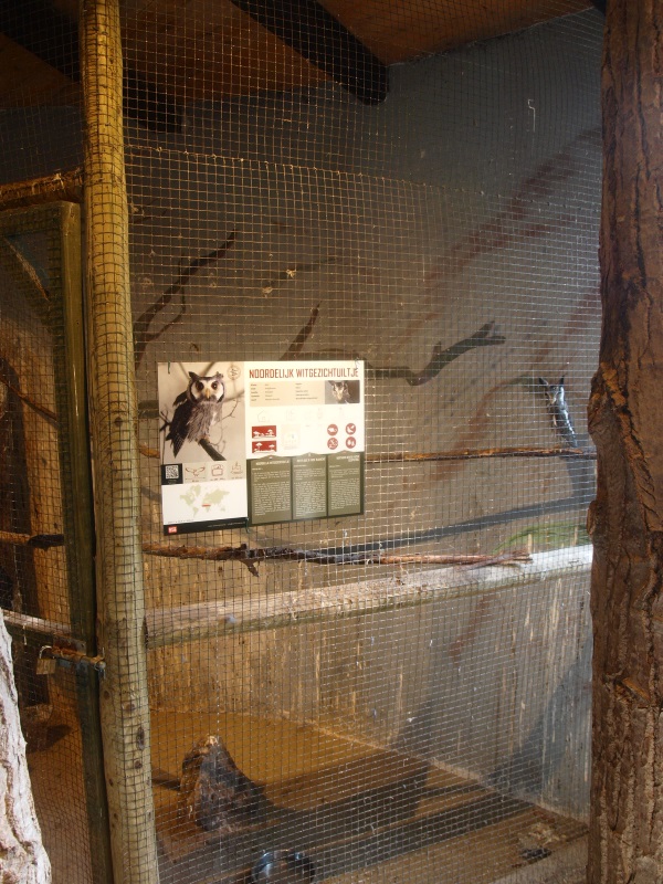 Museum Casa Panthera - Owl cage (April 19th, 2015)