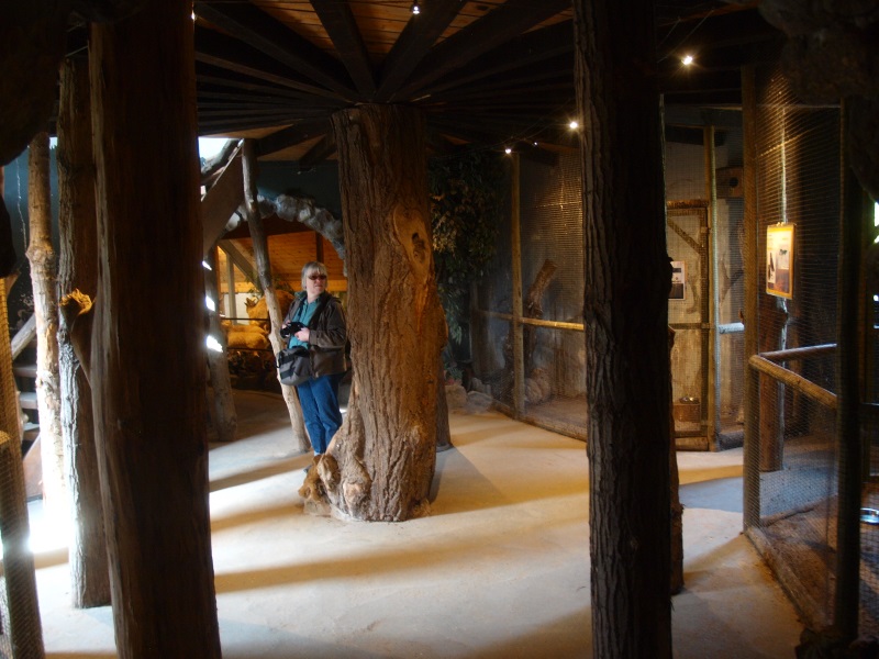 Museum Casa Panthera - 'Owl room' (April 19th, 2015)