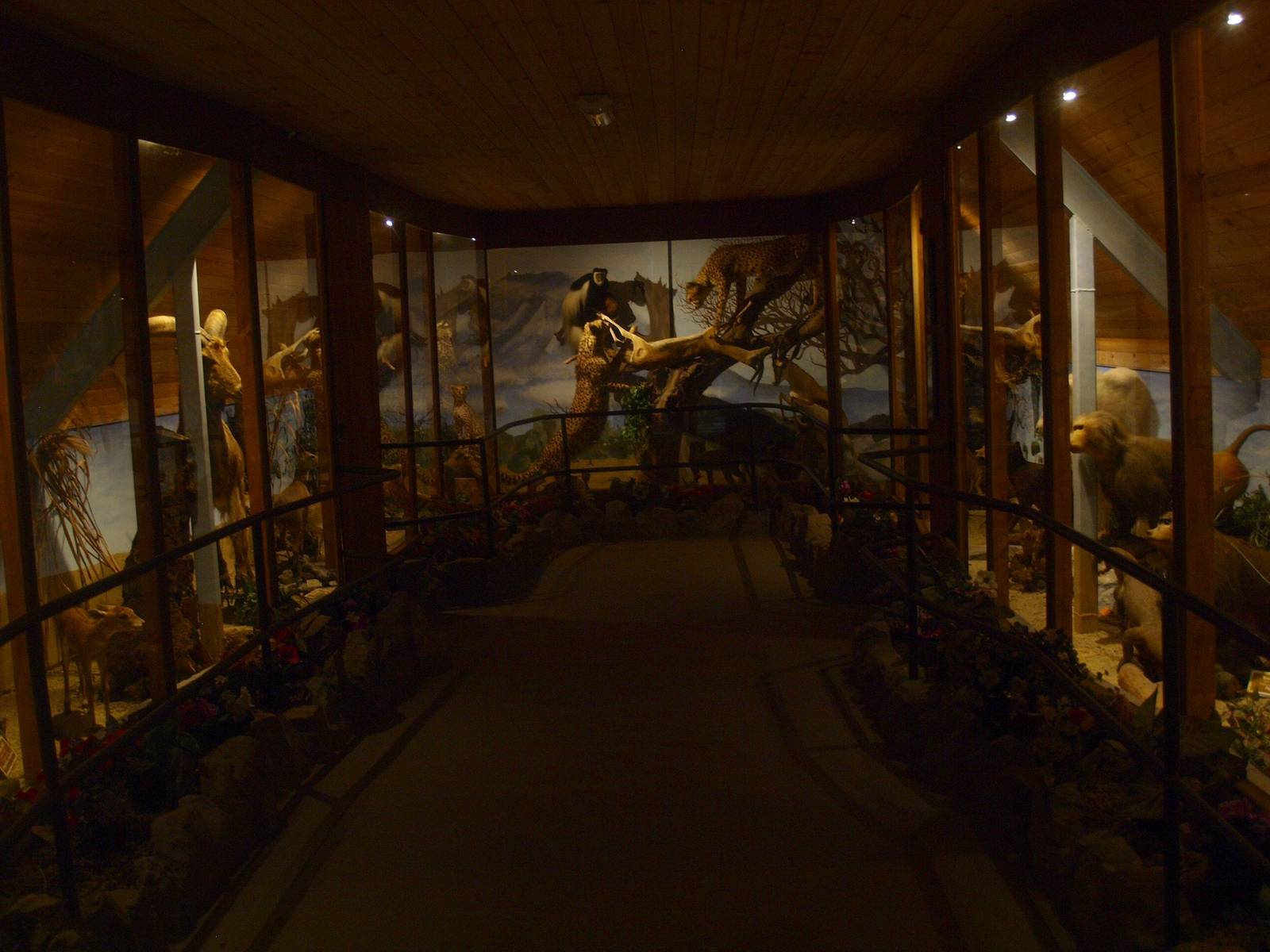 Museum Casa Panthera, second section (April 19th, 2015)