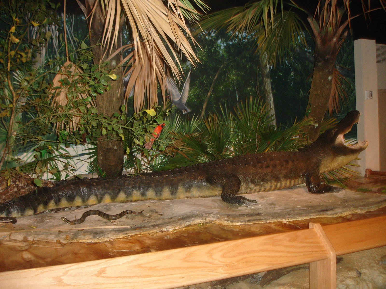 Museum diorama - reptiles