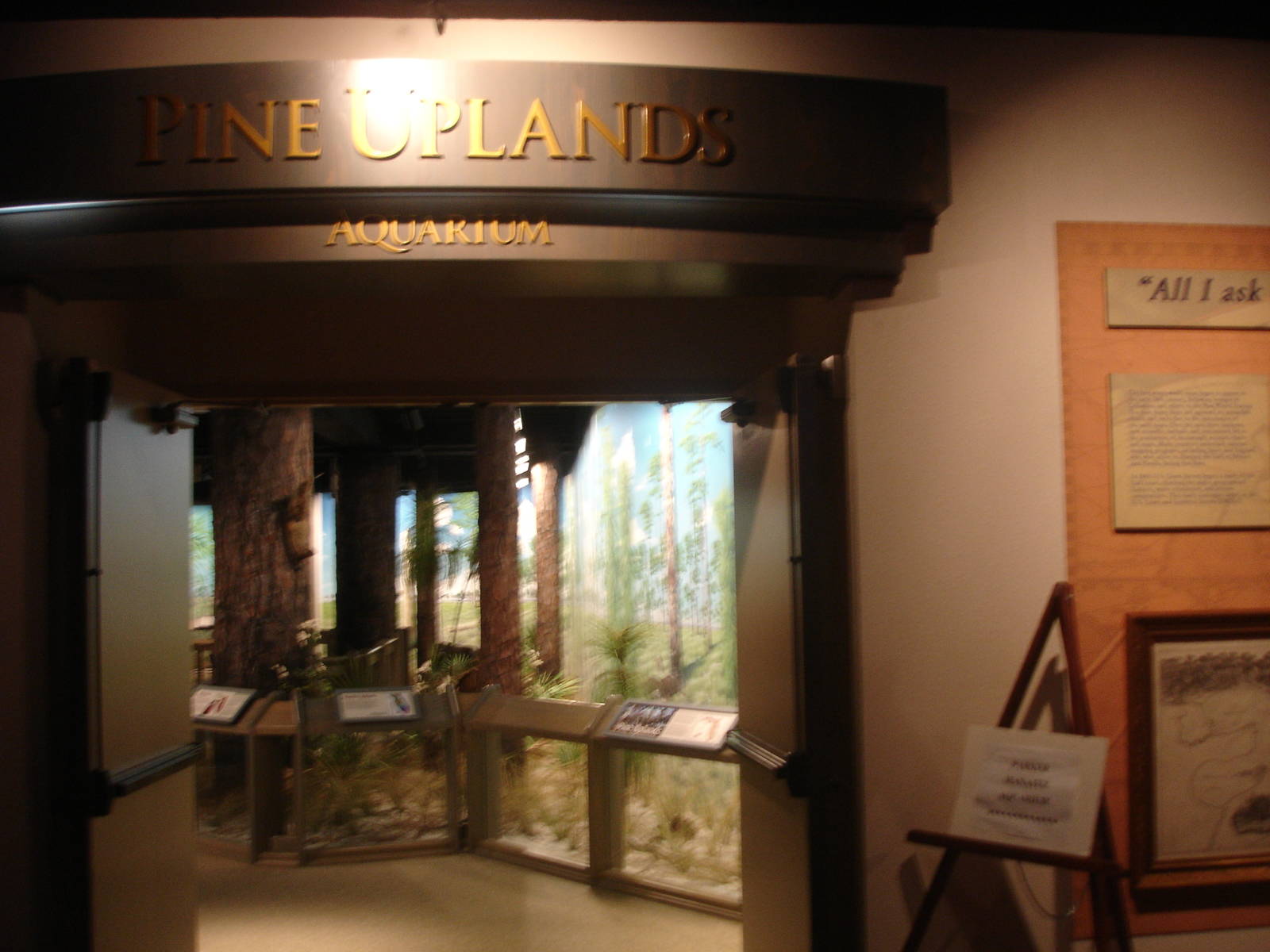 Museum display area en route to manatee aquarium