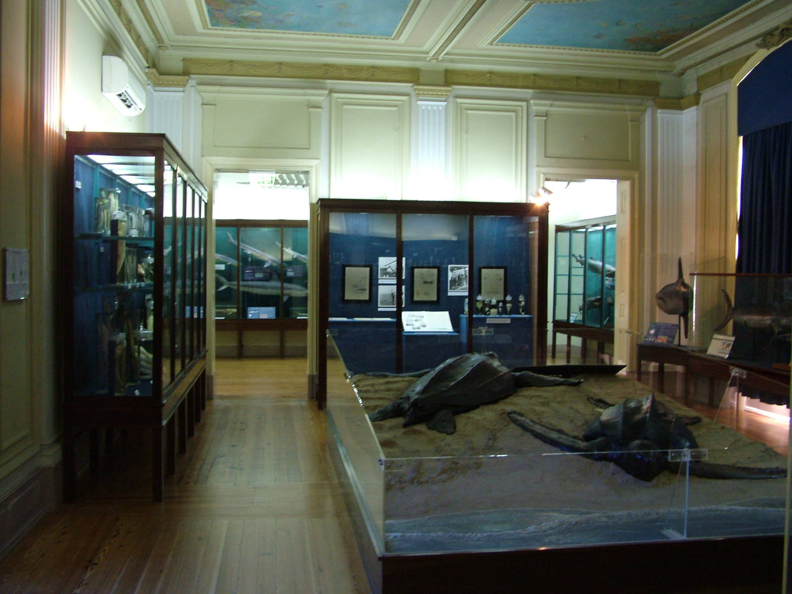 Museum Displays at Vasco da Gama Aquarium, 25/05/11