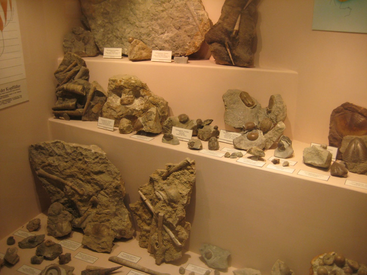 Museum für Natur und Umwelt - Geological display