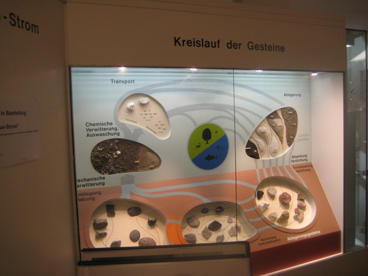 Museum für Natur und Umwelt - Geological display