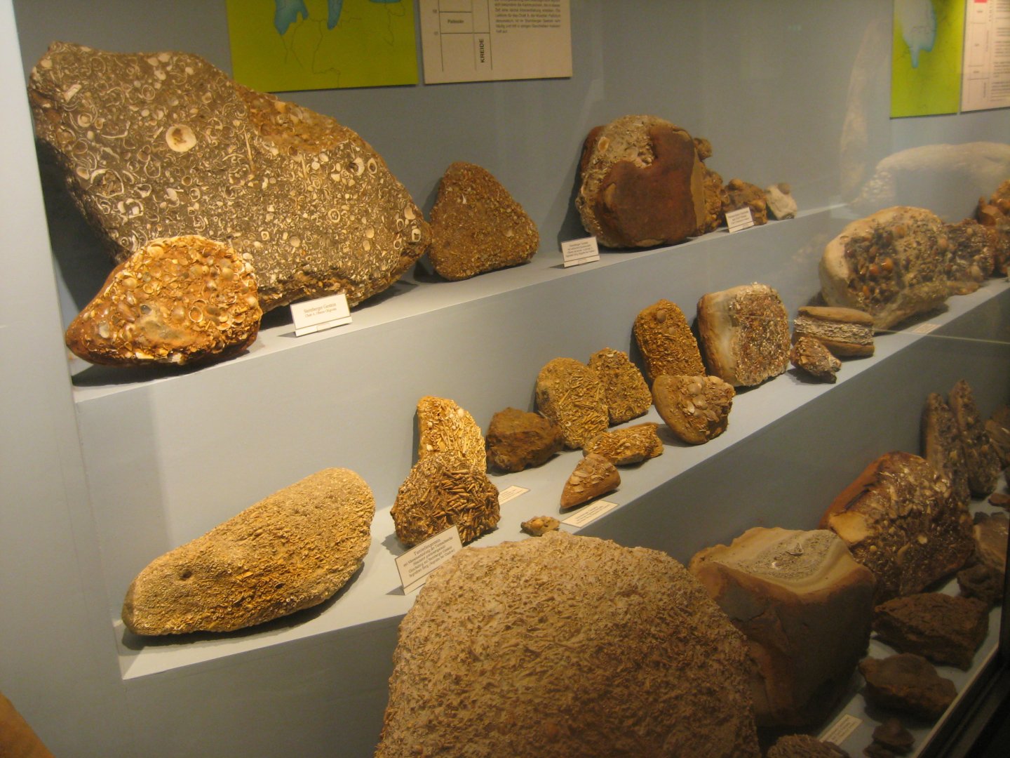 Museum für Natur und Umwelt - Geological display