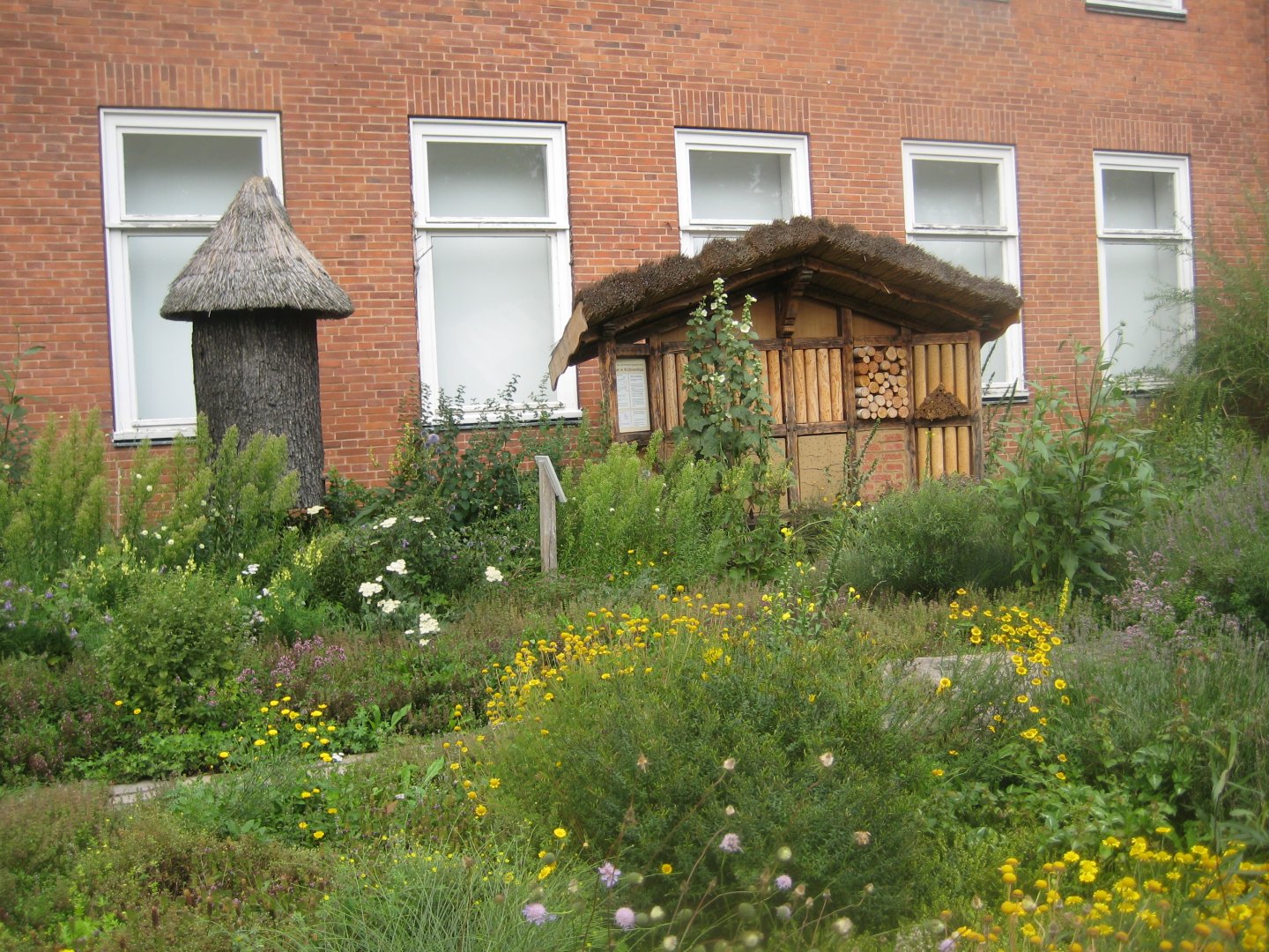 Museum für Natur und Umwelt - "Immengarten"