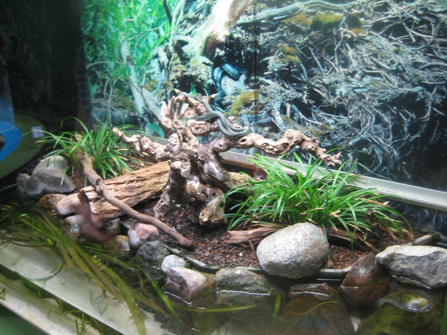 Museum für Natur und Umwelt - Snake exhibit