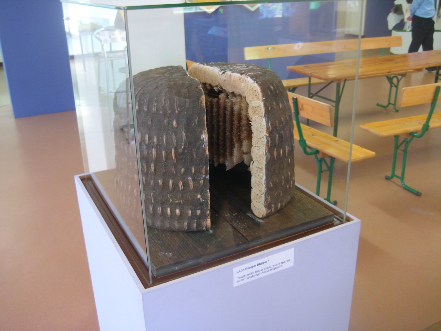 Museum für Natur und Umwelt - Traditional beehive