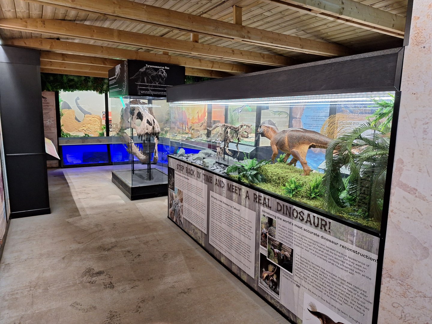 Museum - General View