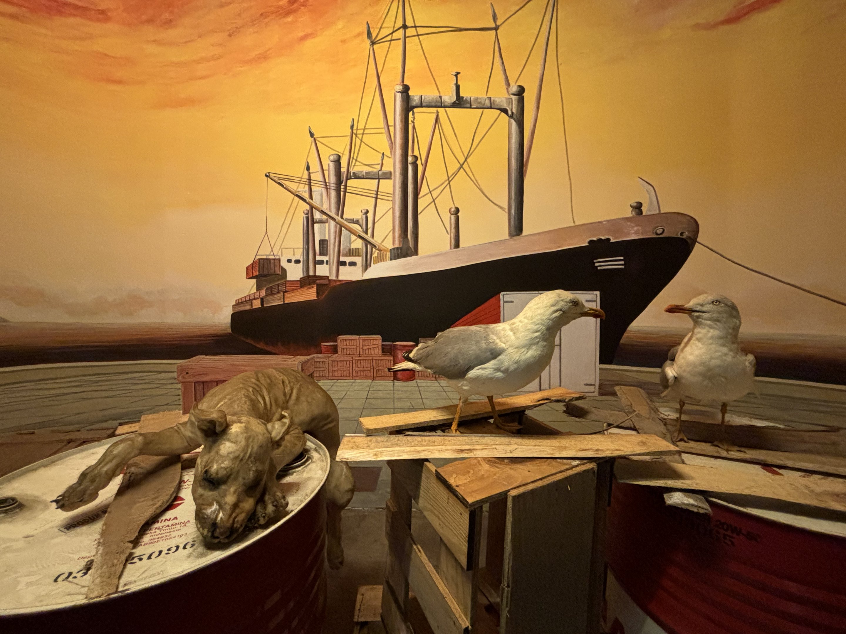 Museum - Hairless Dog + European Herring Gull