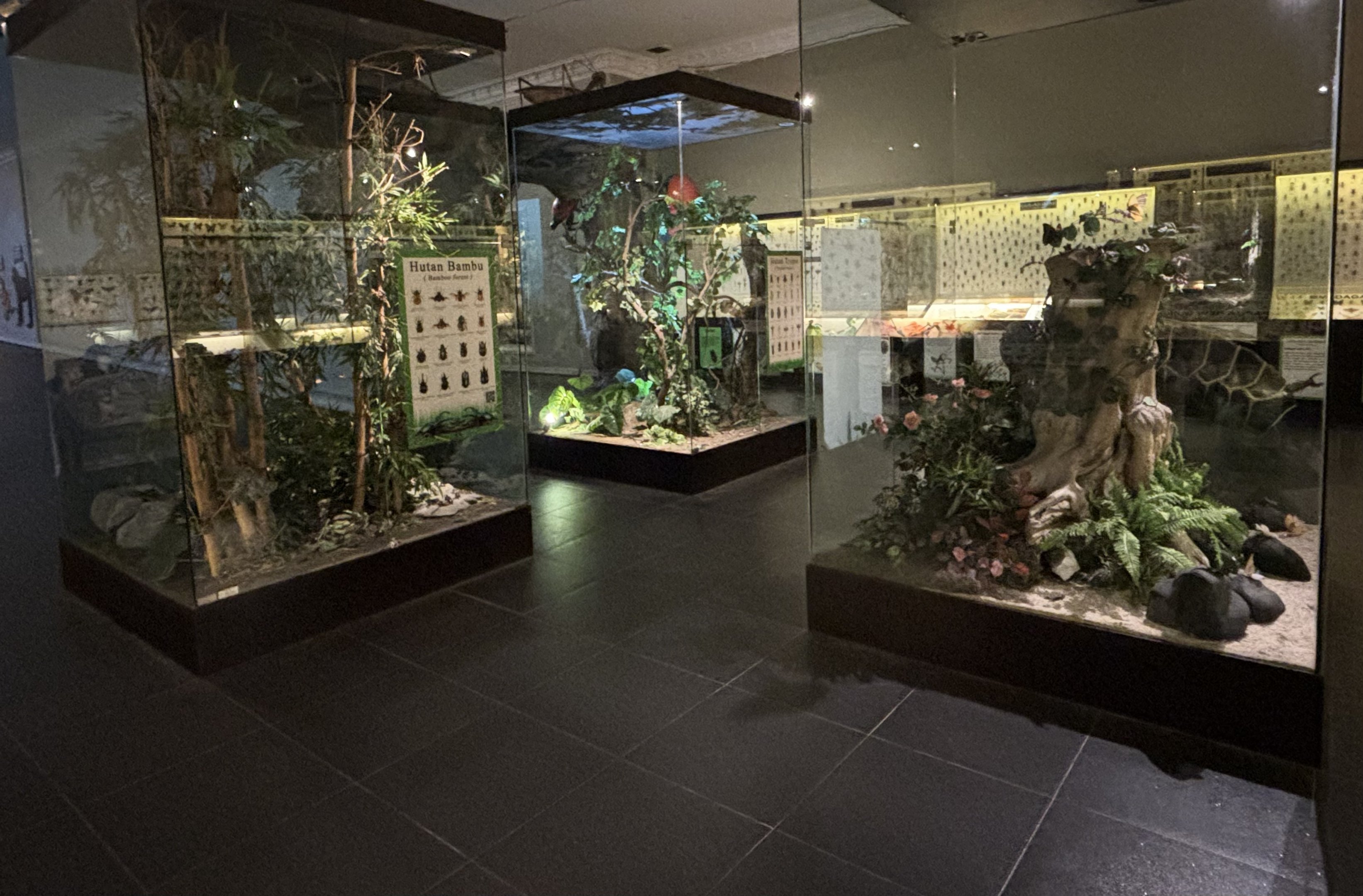 Museum - Insectarium Zone (no live animals)