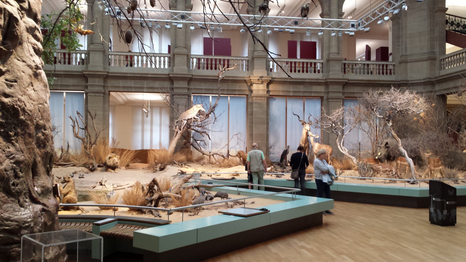 Museum Koenig Bonn - Africa Panorama