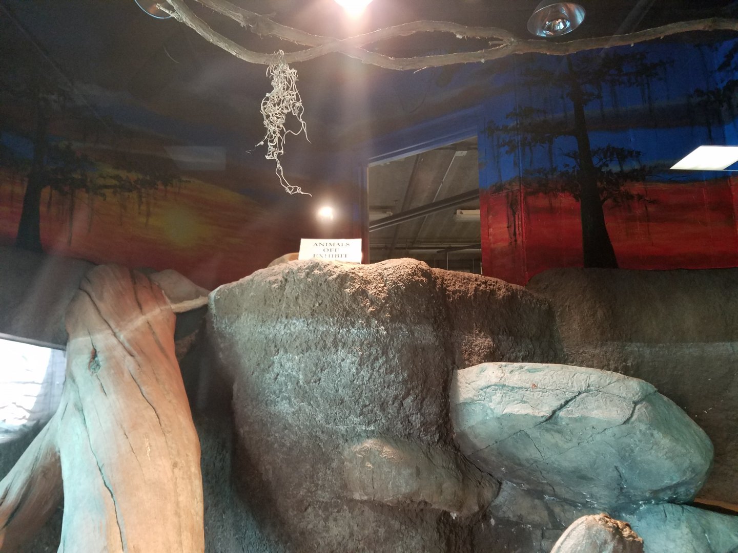 Museum-like Display Gone, To be Exhibit