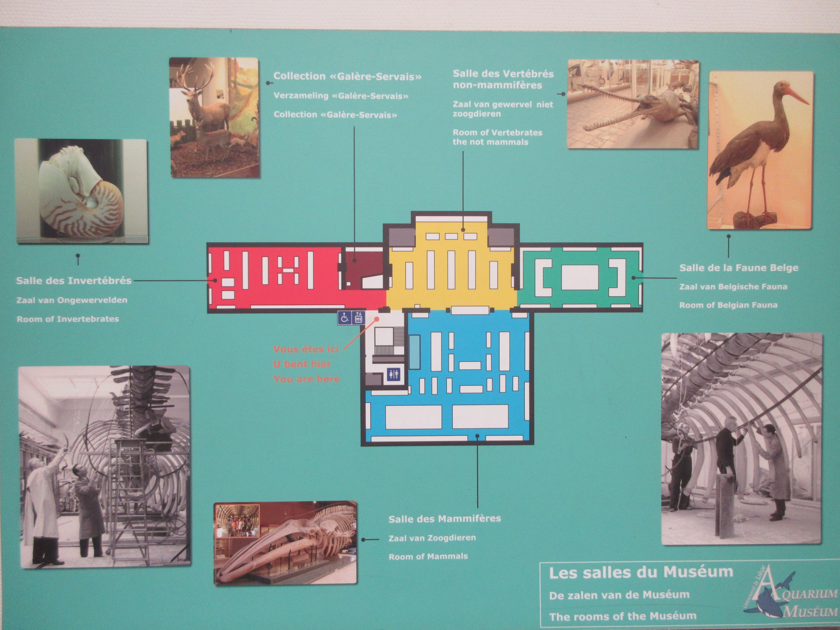 Museum Map