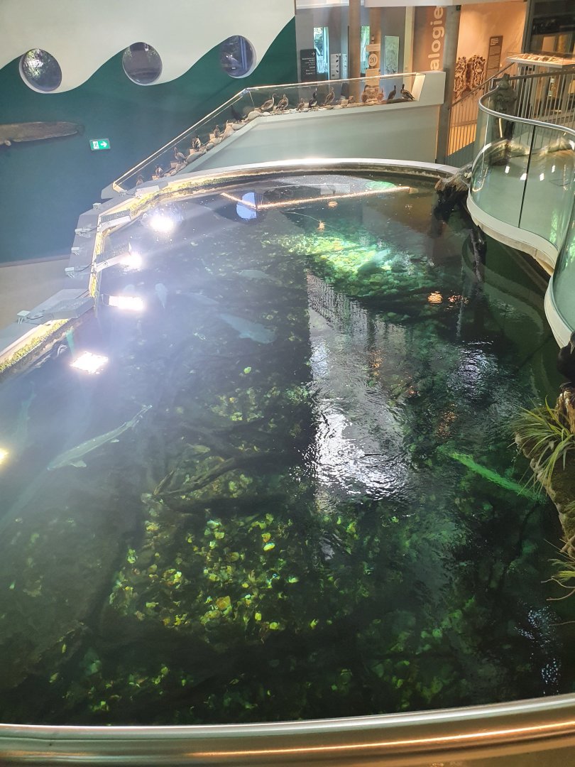 Museum Niederösterreich