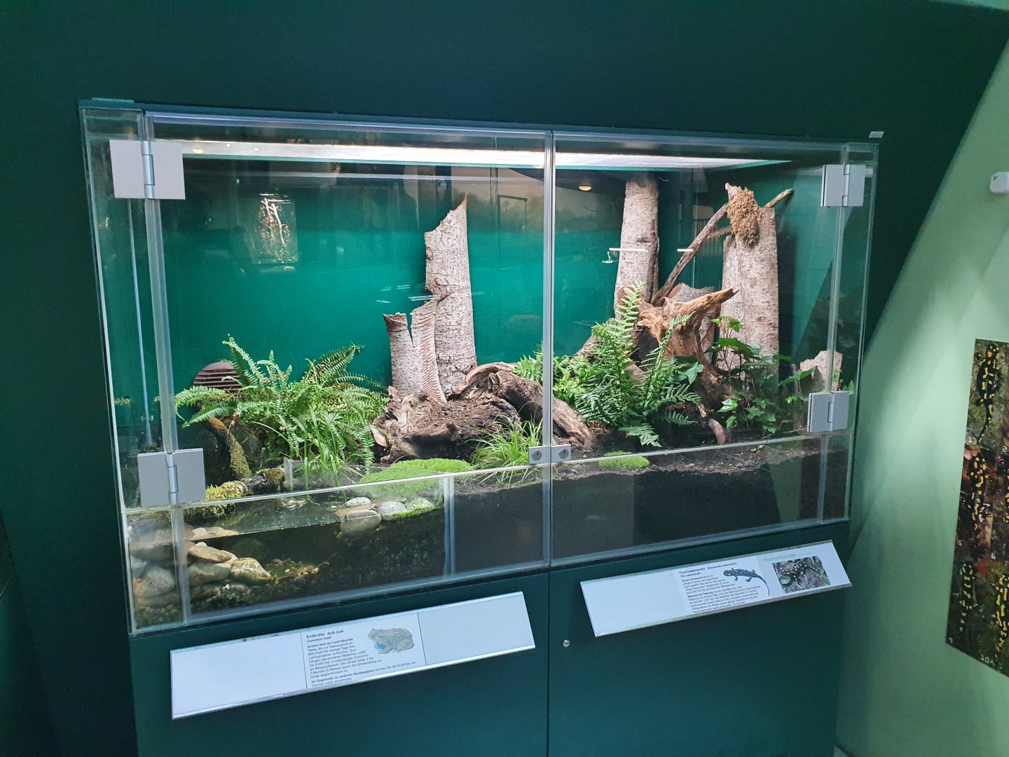 Museum Niederösterreich