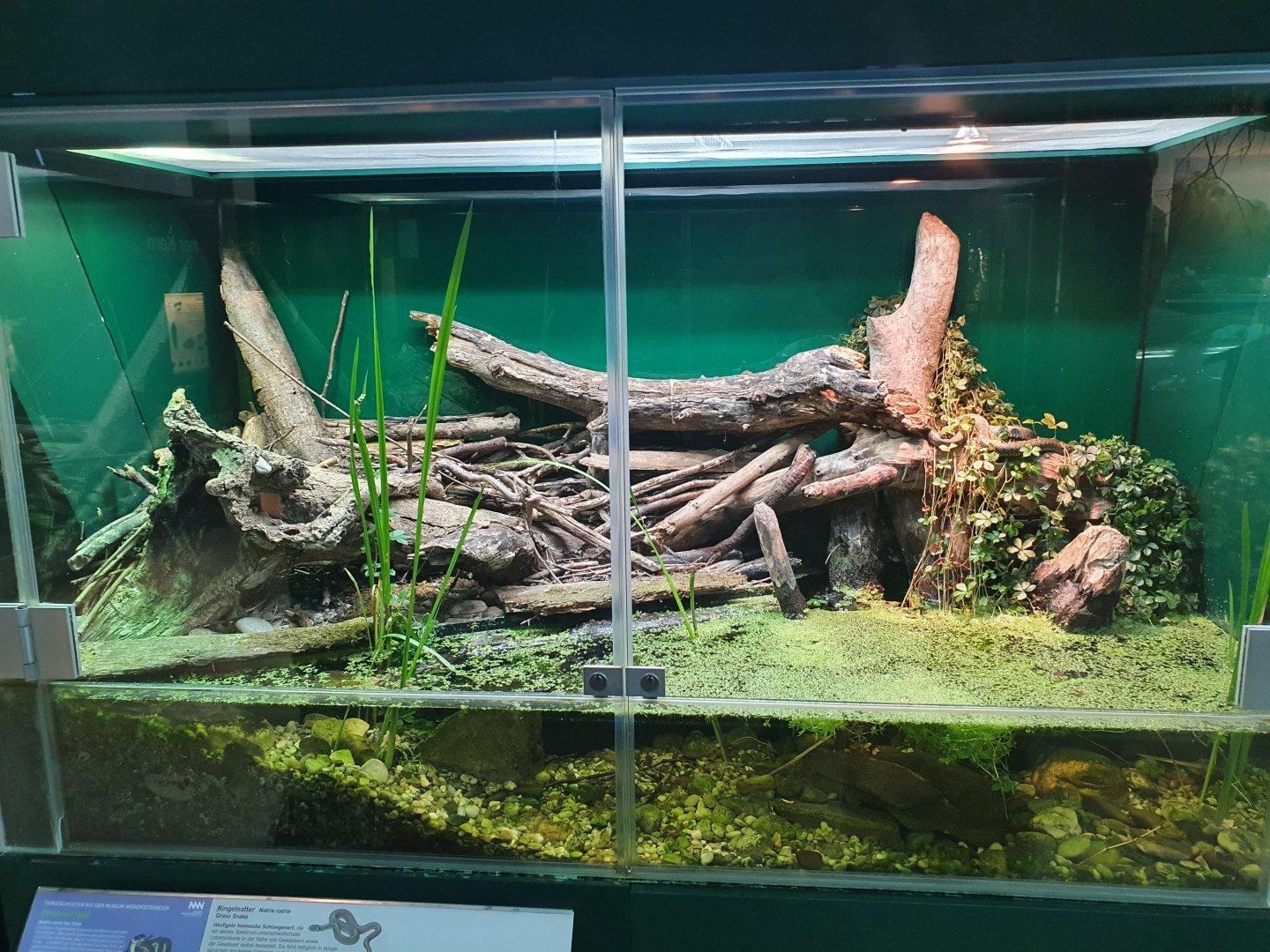 Museum Niederösterreich